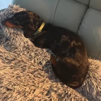 Photo of Hugo