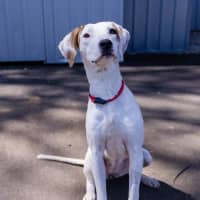 Photo of Kindred