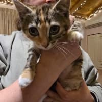 Photo of Enid Addams