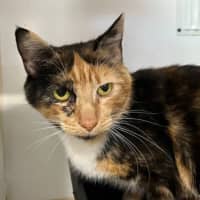 Photo of Timtam