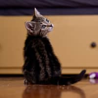 Photo of Lunchlady Doris