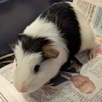 Photo of Don Vito