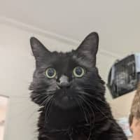 Photo of Babs (Missy)
