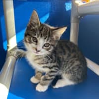 Photo of Freya