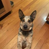 Photo of Shelly