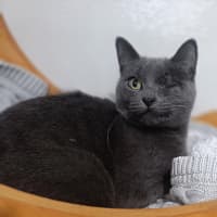 Photo of Sharon