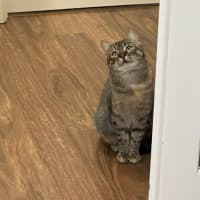 Photo of Aster Uffelman