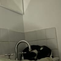 Photo of Sylvia