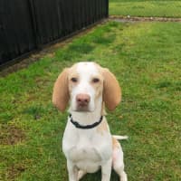 Photo of Post Malone