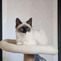 Photo of Oscar 