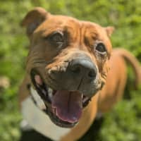 Photo of 🍄 Marley 5313 🍄