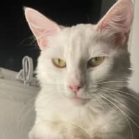 Photo of Dairy Queen