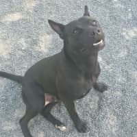 Photo of Creature