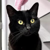 Photo of Mimi Rsta011476