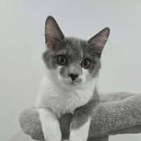 Photo of Stanley