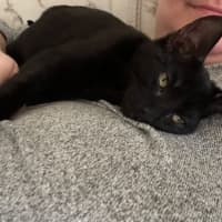 Photo of Zephyr