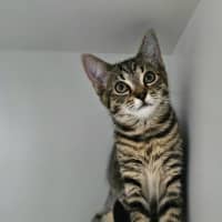 Photo of Spice