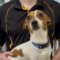 Photo of Max