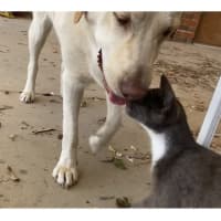 Photo of Edwina & Trixie