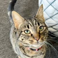 Photo of Charlie