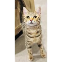 Photo of 11087   Jelli