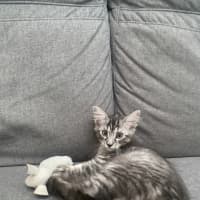 Photo of Leo