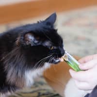 Photo of Mimi