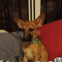 Photo of Billy