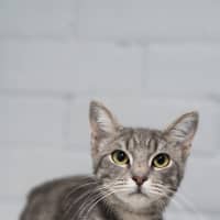 Photo of Molly 