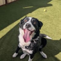 Photo of Ralph
