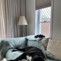 Photo of Merp (Previously Leanne) 