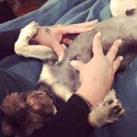 Photo of Roy Valenti