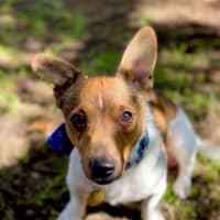 Photo of Kevin Arnold