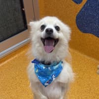 Photo of Peppi