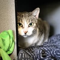 Photo of Maude
