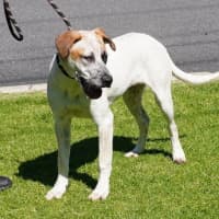 Photo of Ricky Bobby