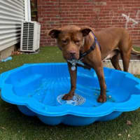 Photo of Maggie