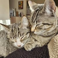 Photo of Truffle & Faun 