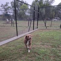 Photo of Carrol 71/2026