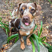 Photo of Beanie