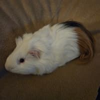 Photo of Kayden