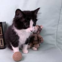 Photo of Gracie May 🌷