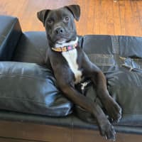 Photo of Jenny