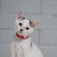 Photo of Fred