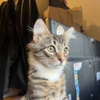 Photo of Billy