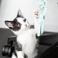 Photo of Parker