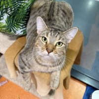 Photo of Spice