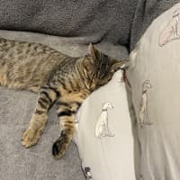 Photo of Fred (Weasley) Of Harry Potter Fame