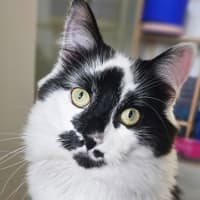 Photo of Mr Moo