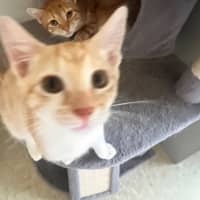 Photo of Beatrice & Pele
